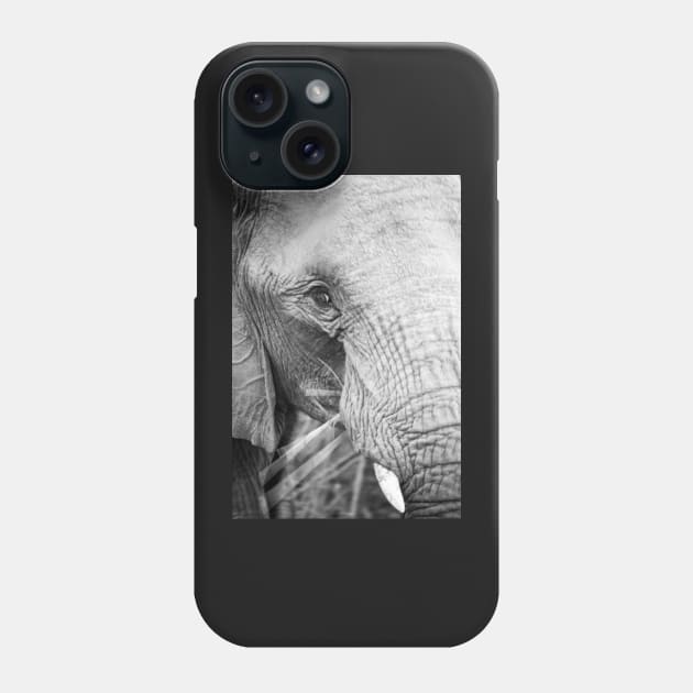 close up of an elephant eating Phone Case by CPT T's