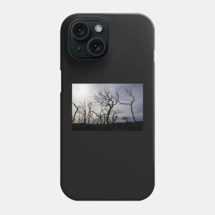 Black dead Manna gum tree limbs, Phone Case