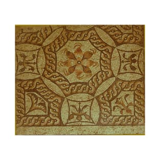 Ancient Roman mosaic flooring T-Shirt