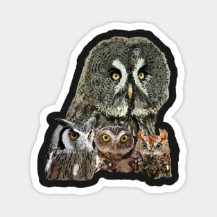 Owls Magnet