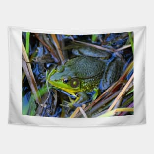 Billy Bullfrog Tapestry