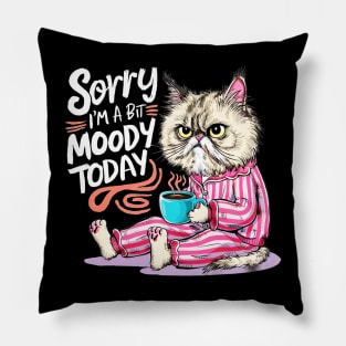 sorry im a bit moody today Pillow