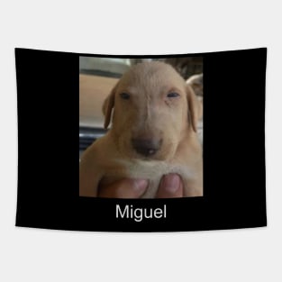 Miguel meme shitpost unisex Tapestry