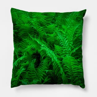 Rain Forest Pillow