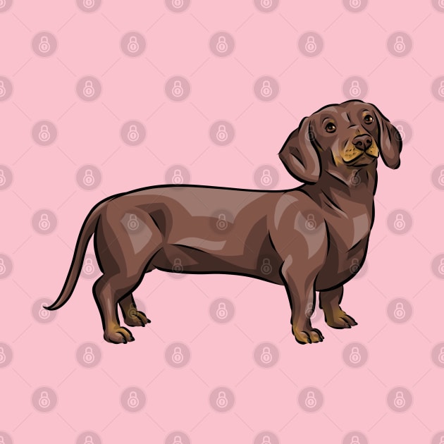 Chocolate and Tan Dachshund Dog by Shirin Illustration