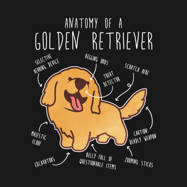 Golden Retriever Anatomy by Psitta