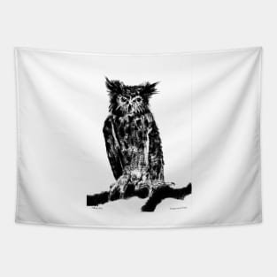 Long-eared owl Portrait Tapestry