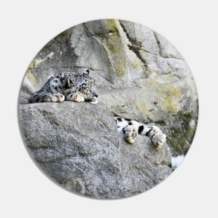 Snowleopard Pin