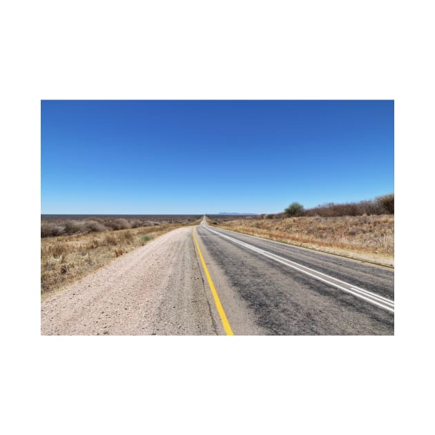 Road between Otjiwarongo and Okahandja in Namibia by holgermader