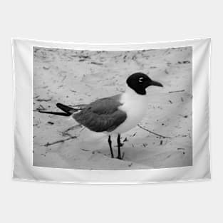 Little Gull Tapestry