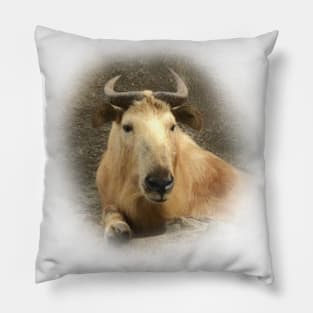 Gnu goat-Takin Pillow