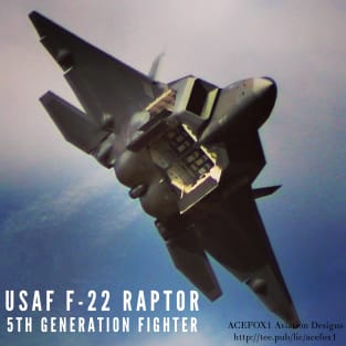 2-Sided F-22 Raptor Magnet