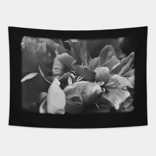 Vintage beautiful flower petals on a black and white film Tapestry