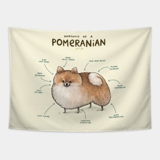 Anatomy of a Pomeranian Tapestry