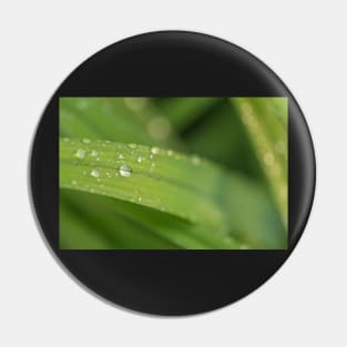 Droplets on a leaf Pin