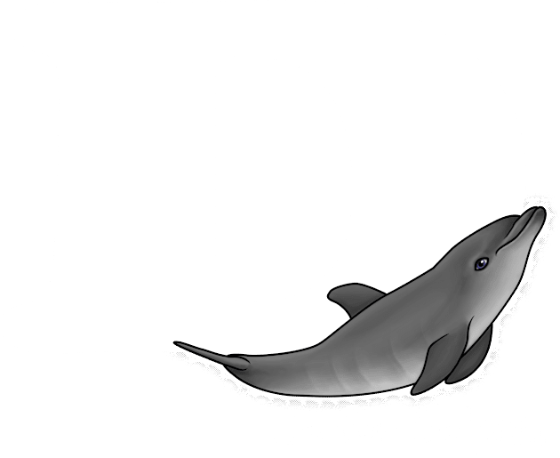 D is for Dolphin Kids T-Shirt by Art by Aelia