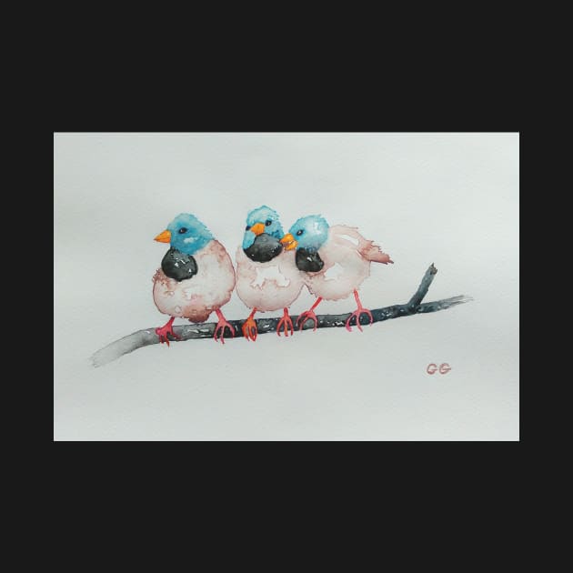 Australian Black-throated Finches, bird art by GarryGreenwood