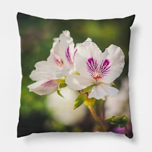 May flowers II Pillow