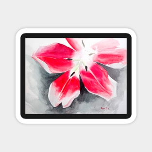Pink and Red Tulip Watercolor Painting Magnet