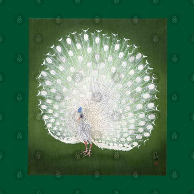 White Peacock by UndiscoveredWonders