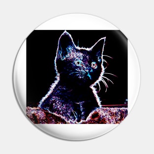 Curious Kitten Pin