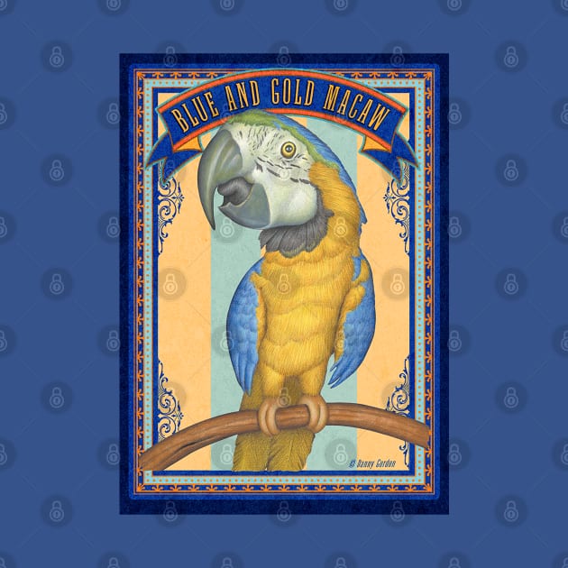 Cute African Blue and Gold Macaw with blue trim by Danny Gordon Art