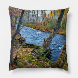 Magical River Pillow