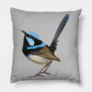 Australian Fairy Wren Pillow