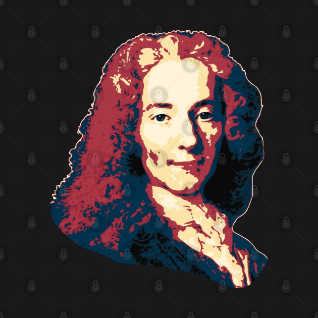 Voltaire copy by Nerd_art