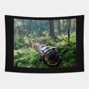 A Wump of Wood Tapestry