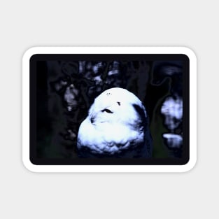 snow owl 3 / Swiss Artwork Photography Magnet