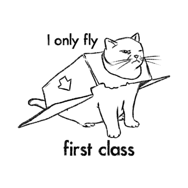 Funny Cat Drawing, First Class Kitty, Cat in Box by sockdogs