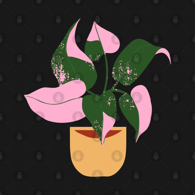 Philodendron Pink Princess Plant by gronly