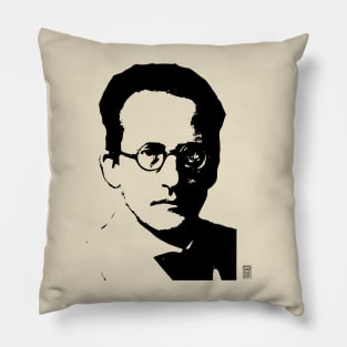 Erwin Schrodinger Pillow