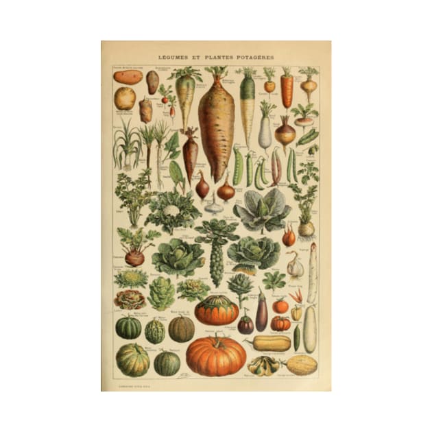 Vegetable Chart by bluespecsstudio