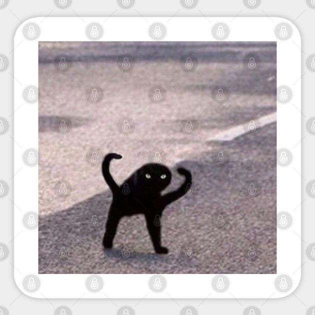Cursed Cat Black Meme Funny Internet Viral Joke Pun Gift Cursed