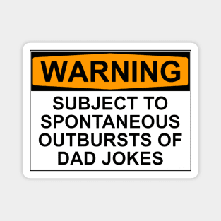 Warning - Dad Jokes Magnet