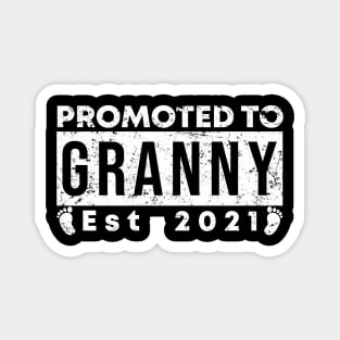 Vintage Promoted to Granny 2021 new Grandmother gift Granny Magnet