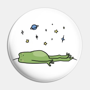 Frog under stars Pin