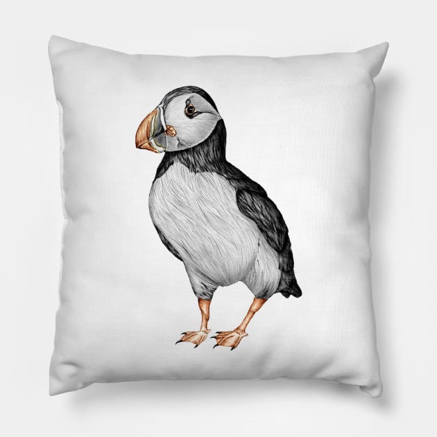 Little Puffin Pillow by ECMazur