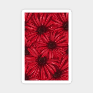 Ruby Red Daisy  Floral Magnet