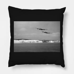 Birds Over The Cliffs Pillow