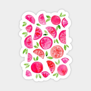 Watercolor grapefruit - pink Magnet