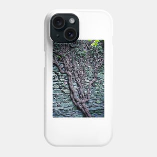 Old Tree in wall Phone Case