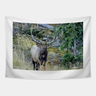 Elk Rut Tapestry