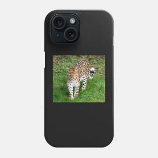 Amur leopard Phone Case