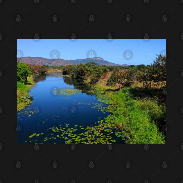 Stuart Creek Looking Towards Mount Stuart by pops