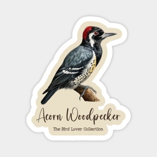 Acorn Woodpecker - The Bird Lover Collection Magnet