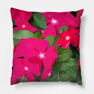 Magenta Impatiens Pillow