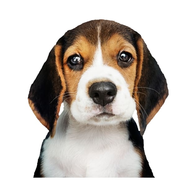 Adorable Beagle, Beagle Dog, Beagle, Gift For Beagle Lovers, Beagle Lover, Beagle Dog Lover, Beagle Mom, Beagle Dad, Beagle Dog Gift, Beagle Puppy, Gifts For Beagle Lovers, Beagle Lover Gift, Beagle Lovers by hellowearse